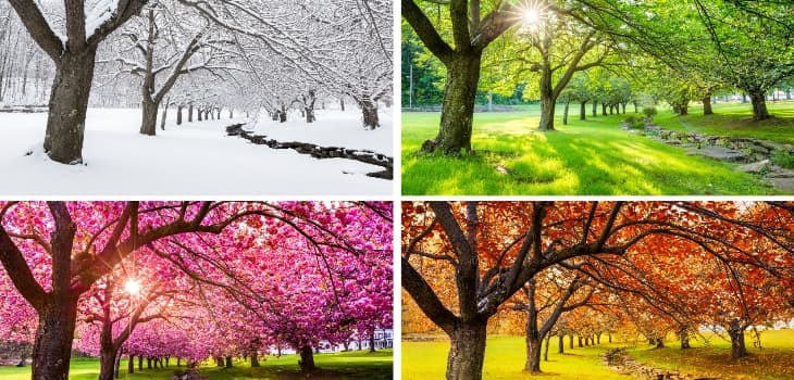 Color-palette_Article01